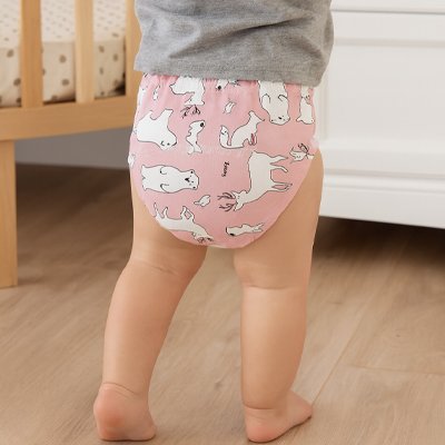 Culotte d'apprentissage